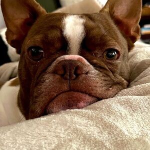 Meet your Posher, Cheri